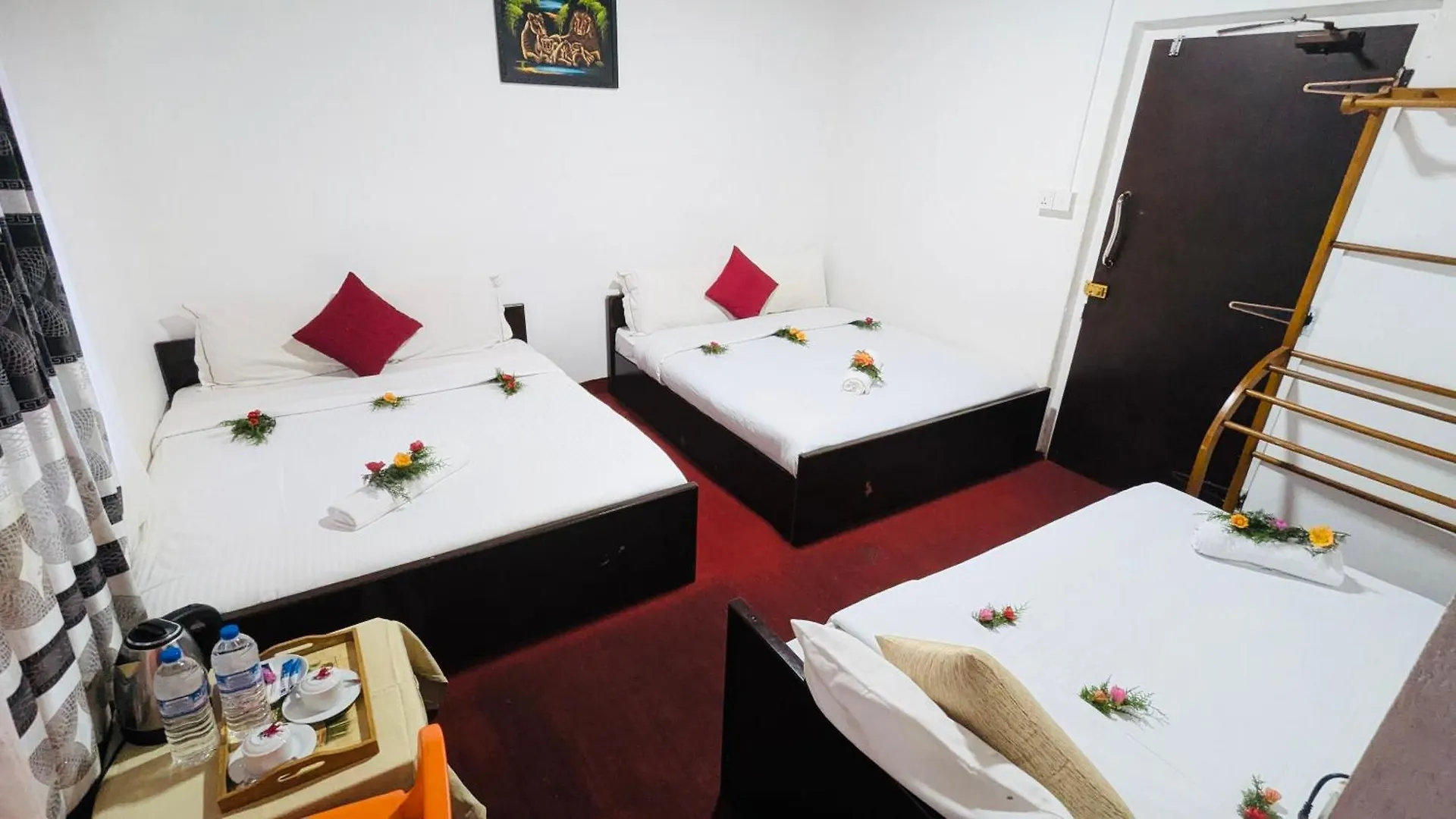 Cottage Hillside Nuwara Eliya Guest house